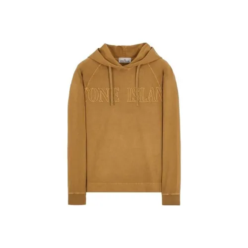 Stone Island Коричневый Мужской Свитшот