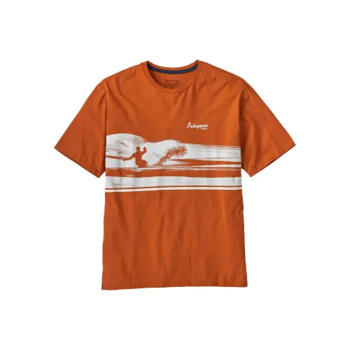 Patagonia Organic Мужская T-рубашка