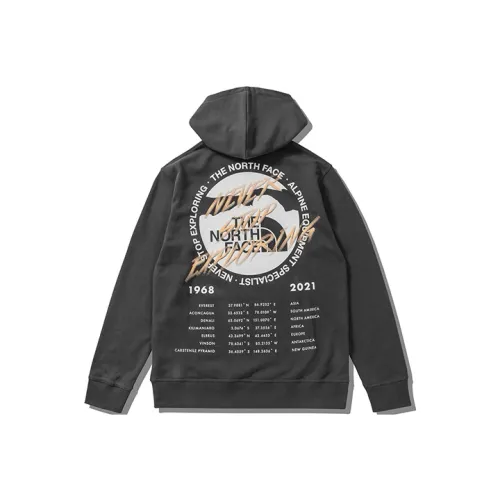 The North Face Темно-серый Мужской Свитшот