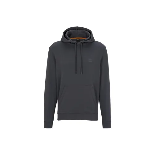Hugo Boss Серый Синий Мужской Свитшот