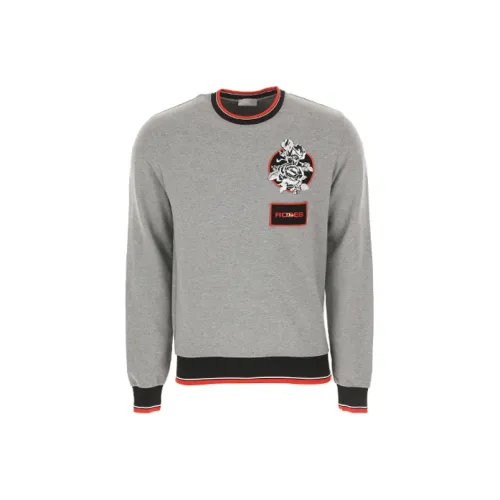 DIOR Quarterly New Products Серый Мужской Свитшот