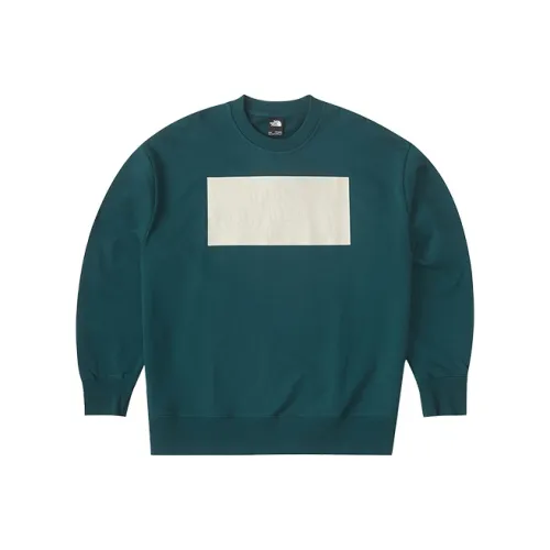 THE NORTH FACE Urban Exploration Синий Мужской Свитшот