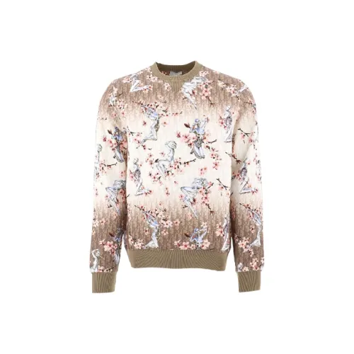 DIOR Quarterly New Products Коричневый Мужской Свитшот