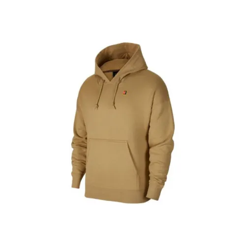 Nike Абрикосово-чайный коричневый Мужские Свитшоты