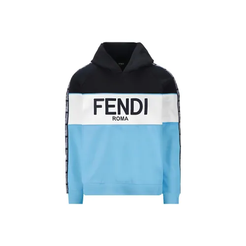 FENDI Синий Мужские Свитшоты