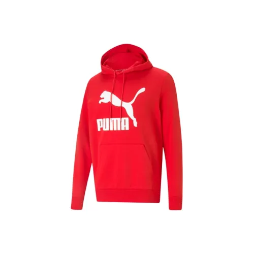 PUMA Мужские Свитшоты