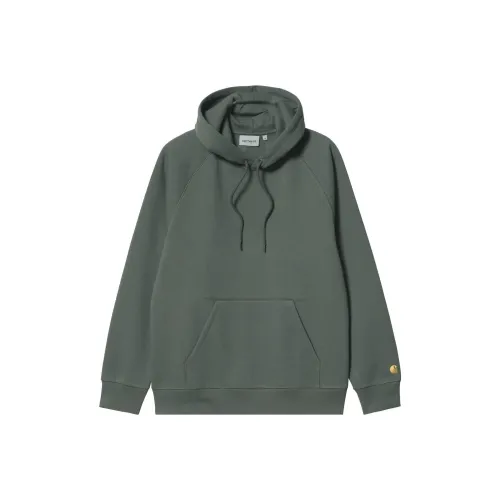 Carhartt WIP Серый Зеленый Мужской Свитшот