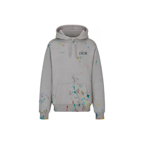 DIOR Quarterly New Products Серый Мужской Свитшот