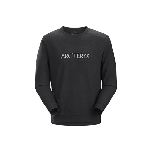 Arcteryx Remige series Мужские Свитшоты
