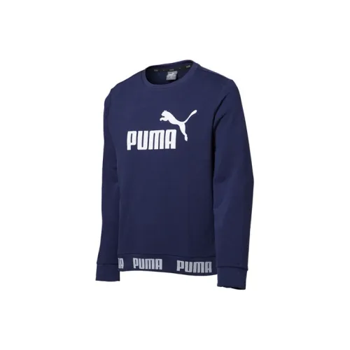PUMA CLOUDSPUN Толстовка Мужская Твид Синий