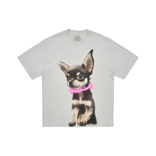 Дворцовый SS25 Серый Унисекс T Рубашки