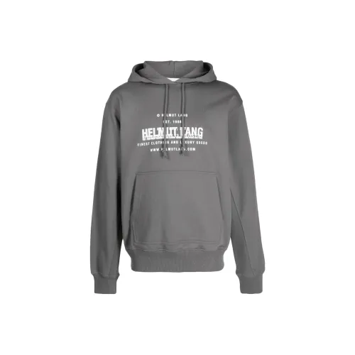 Helmut Lang Серый Мужской Свитшот