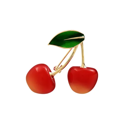 ROYALSASA Сплав Смола Броши Женские