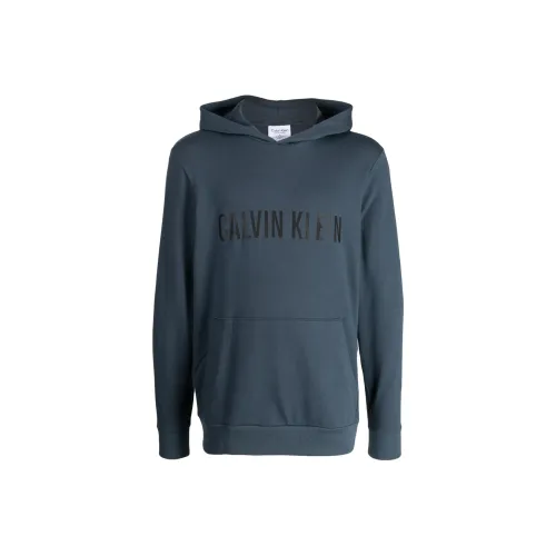 Calvin Klein Синий Мужской Свитшот