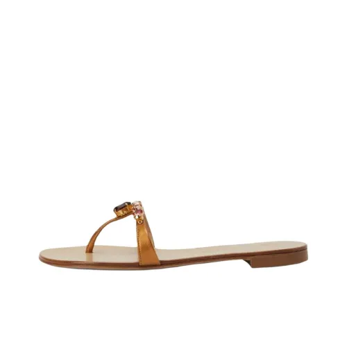 Giuseppe Zanotti GZ Шлепанцы Женские Коричневый