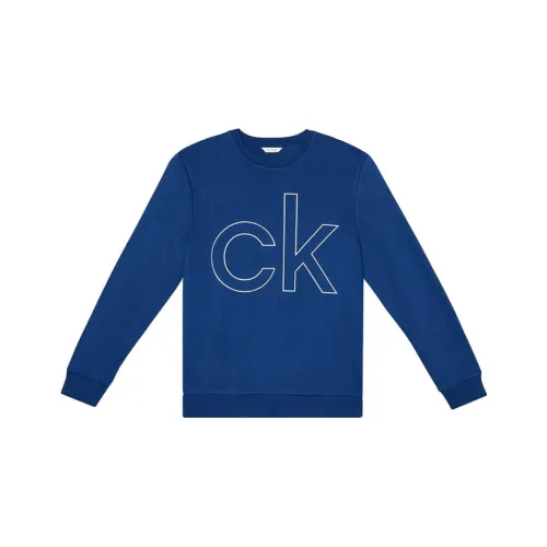Calvin Klein Темно-синие мужские свитшоты