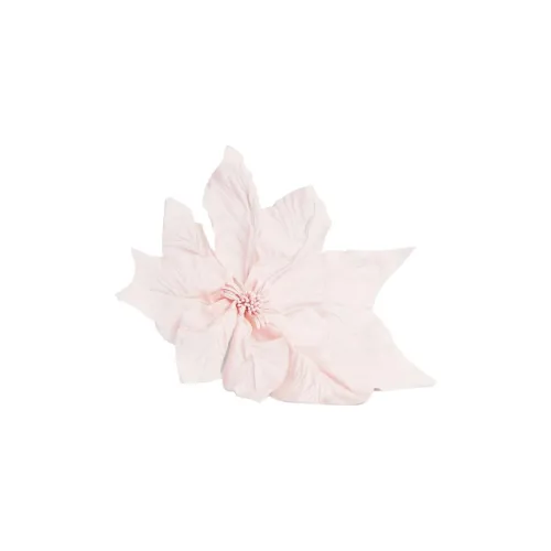 NINA RICCI Броши Женские