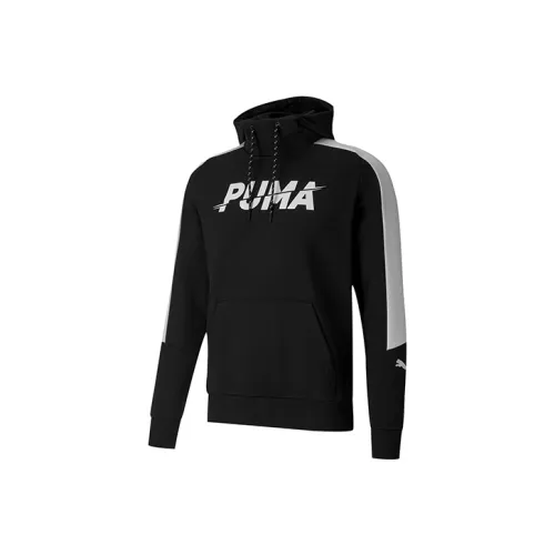 PUMA Мужские Свитшоты