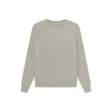 Серый тюлень