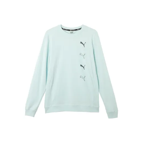 PUMA Синий Мужской Свитшот