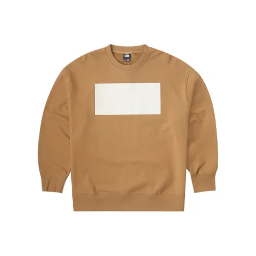 THE NORTH FACE Urban Exploration Свитшот Мужской Коричневый