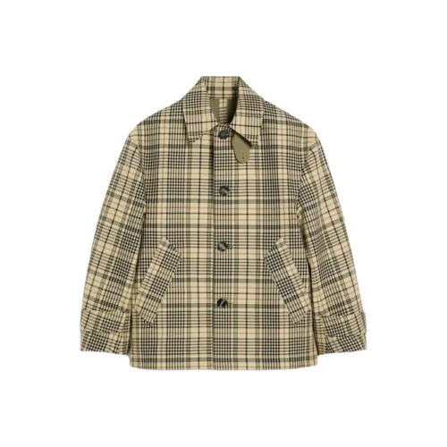 AMIPARIS SS25 Куртка Мужская Абрикос Night Лавровый зеленый