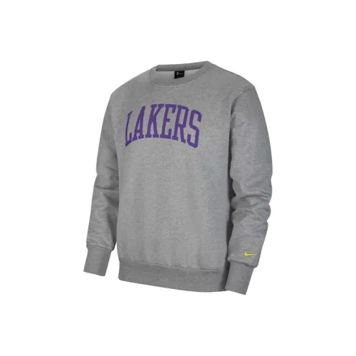 Nike Carbon Gray Мужские Свитшоты