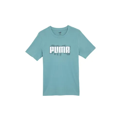 PUMA Серый Синий Мужская Футболка