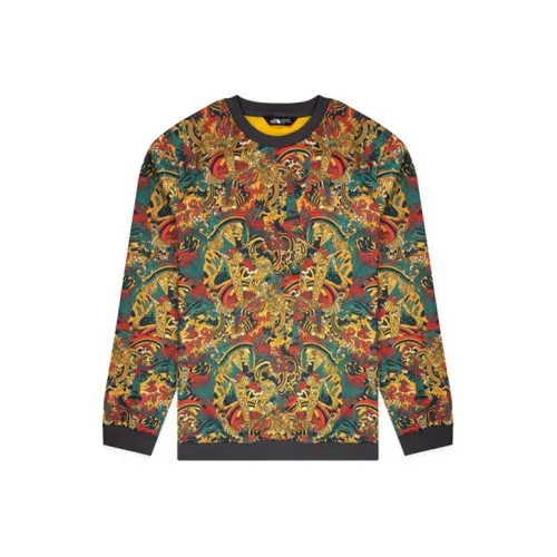 The North Face Многоцветные Мужские Толстовки