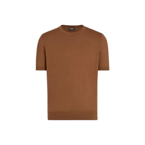 Ermenegildo Zegna Коричневые Мужские T-рубашки