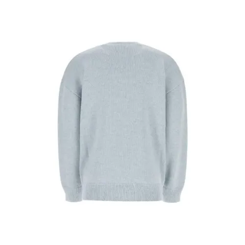 RAF SIMONS Светло-синие мужские свитшоты