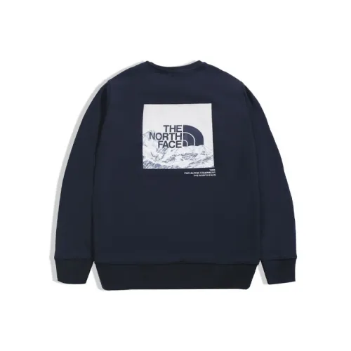 THE NORTH FACE Толстовка Осенняя Унисекс Темно-синий