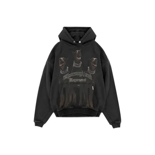 REPRESENT Черные Мужские Свитшоты