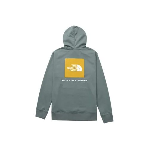 The North Face Изумруд Мужские Толстовки