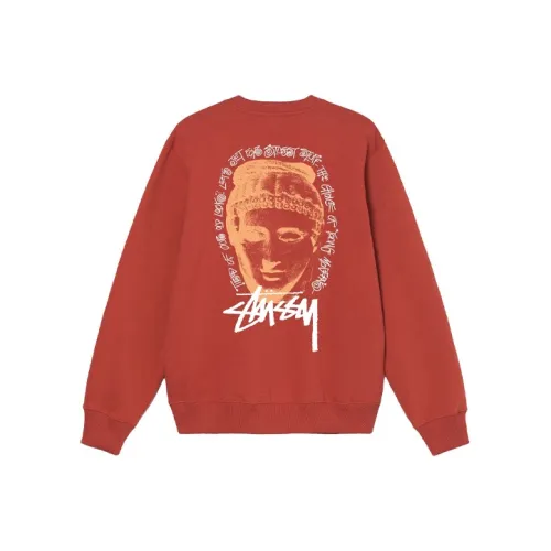 Stussy Мужские Свитшоты
