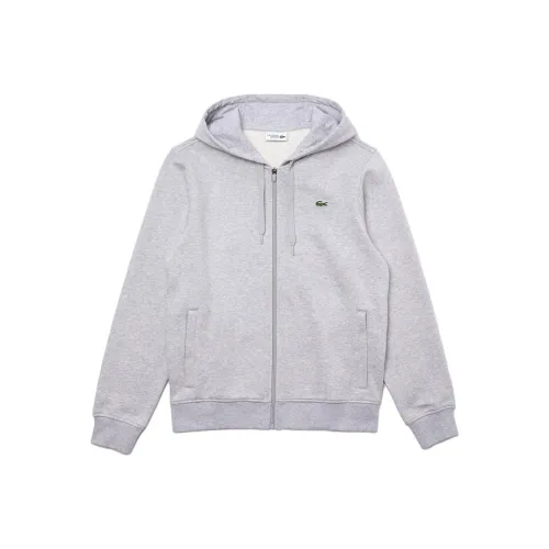 LACOSTE Collaboration Серый Мужской Свитшот