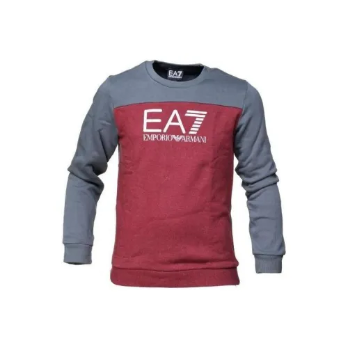 EMPORIO ARMANI EA7 SS23 Толстовка Мужской Многоцветный