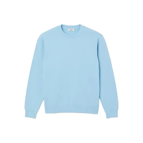 Sandro Светло-Синие Мужские Свитшоты
