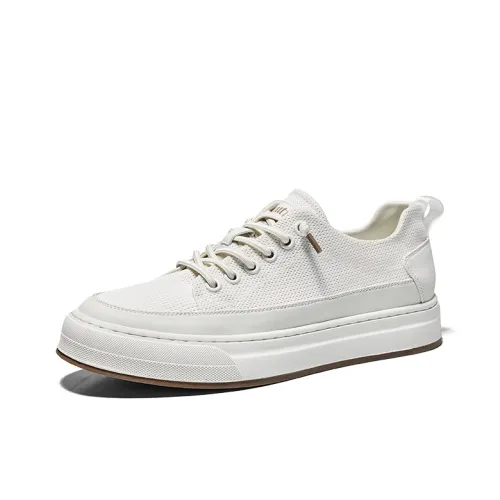 Hautton Low Топ Скейтборд Кроссовки Мужские Белые