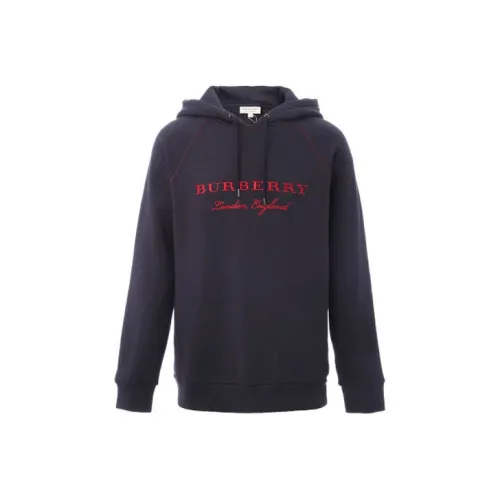 Burberry Темно-синий Мужские Свитшоты