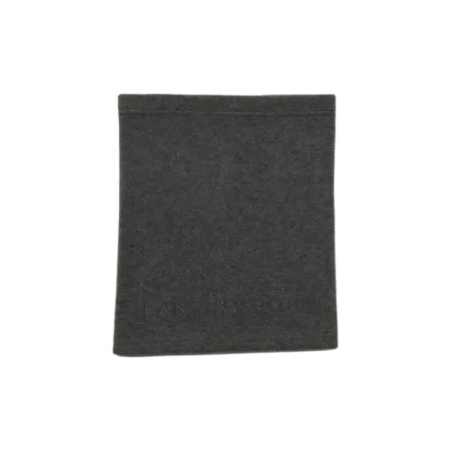 Lanvin Шерсть Шарфы Унисекс Серый