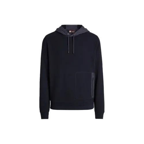 Ermenegildo Zegna Мужские Свитшоты Морской Синий