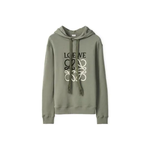 LOEWE Зеленый Мужской Свитшот