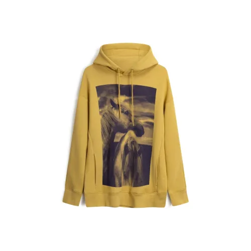 Calvin Klein Желтые Унисекс Свитшоты