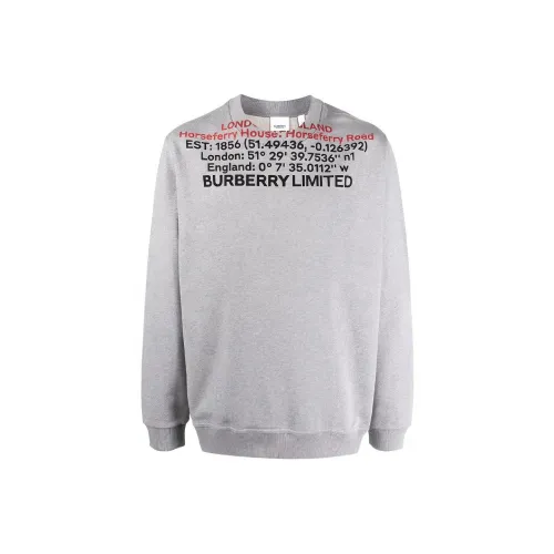 Burberry SS22 Толстовка Мужской Серый