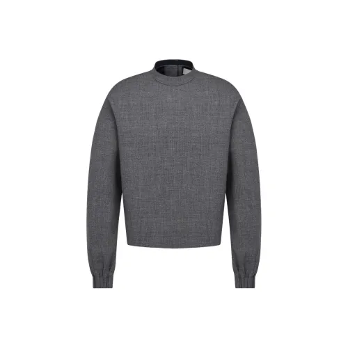 DIOR Серый Мужской Свитшот