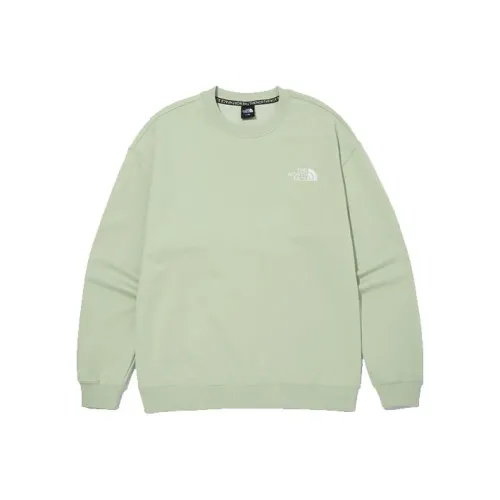 THE NORTH FACE Зеленый Мужской Свитшот