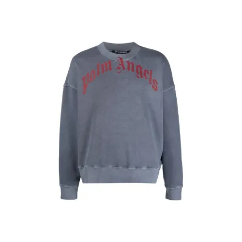 PALM ANGELS Серебристо-серый Мужской Свитшот