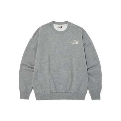 The North Face Серый Мужской Свитшот