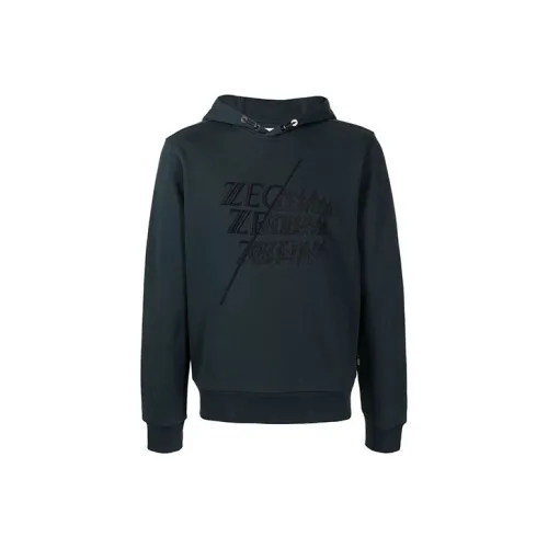 Ermenegildo Zegna Зеленый Мужской Свитшот